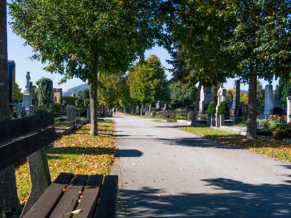 Zentralfriedhof