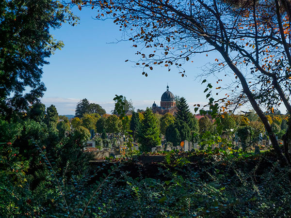 Zentralfriedhof